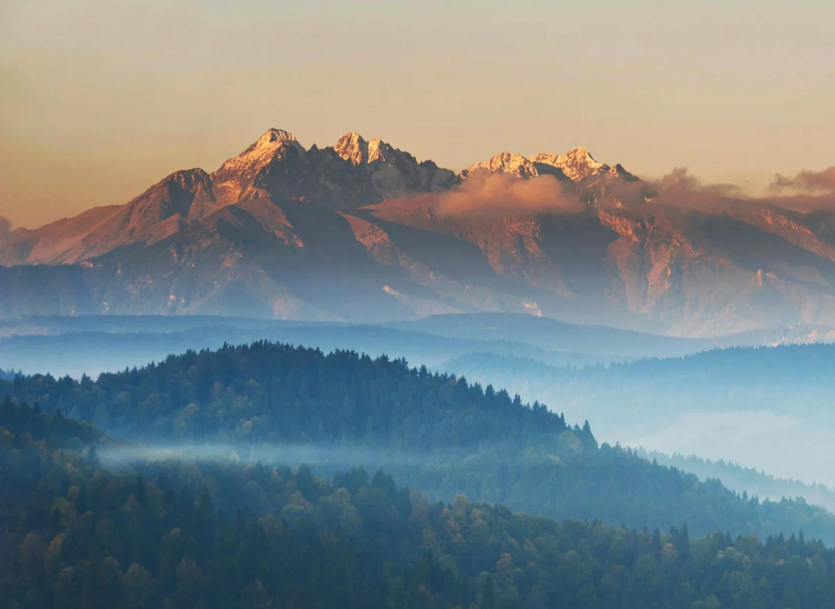 Kto może transportować ponadgabaryty?
