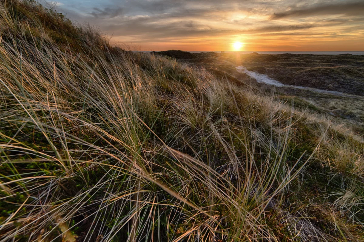 12 Mało Znanych Czynników, Które Mogą Przeszkodzić Ci zamontować elektrykę w Raciborzu