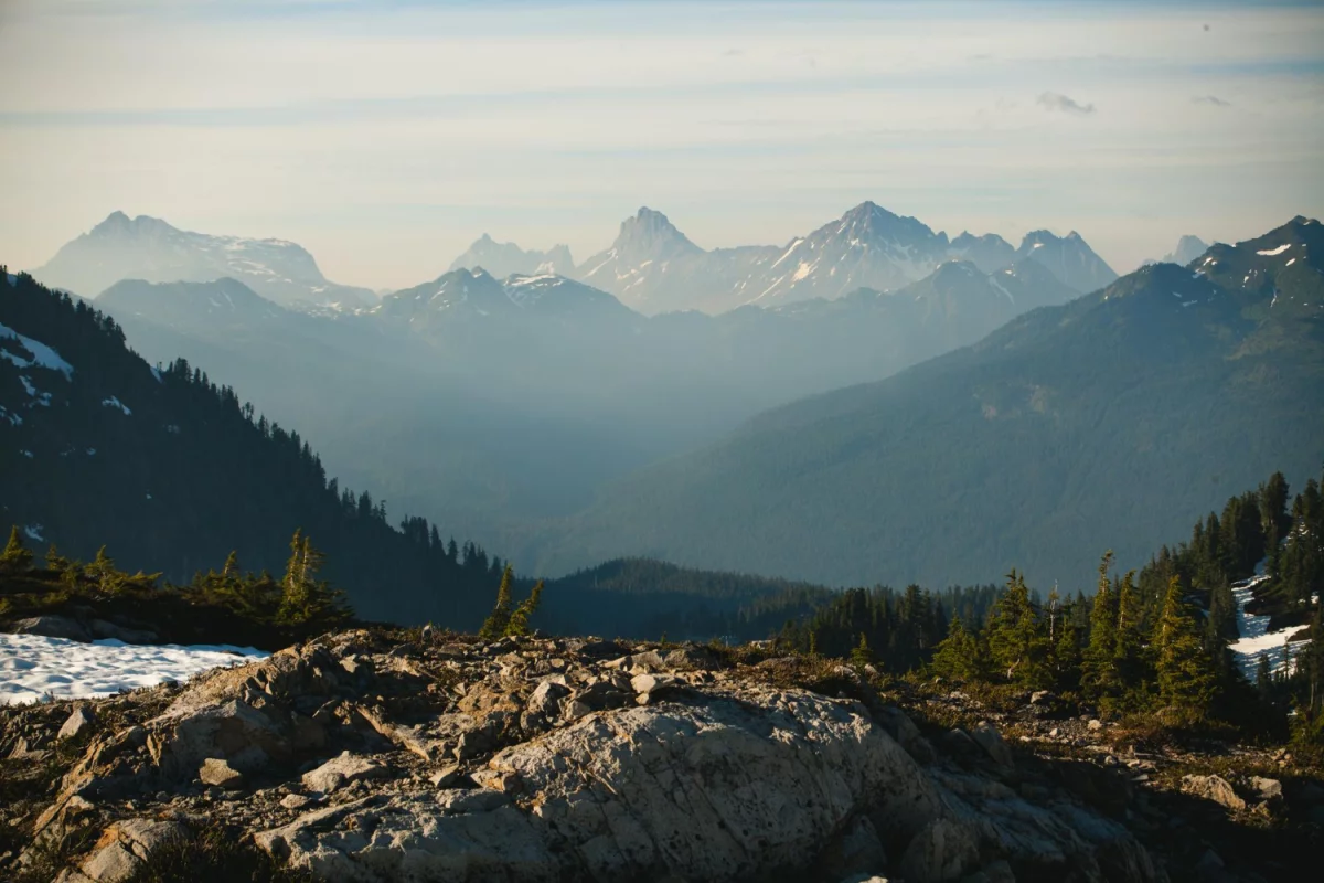 Trochę informacji o rachunkowości