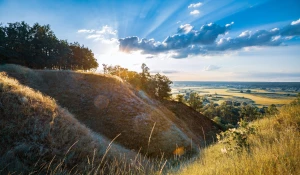 Po co są ceny transferowe?