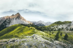 5 Mało Znanych Czynników, Które Mogą Przeszkodzić Ci Kupić Dobrą Kawę