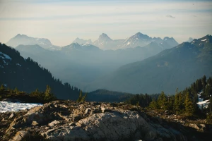 Trochę informacji o podatkach i opłacalności samodzielnego rozliczenia